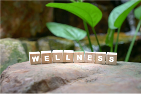 Wellness Assessment